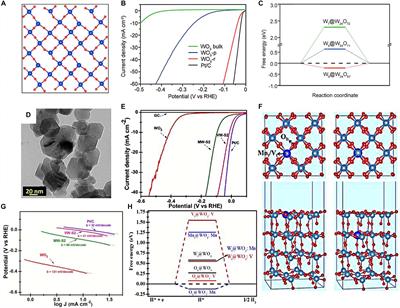 WO3-Based Materials as Electrocatalysts for Hydrogen Evolution Reaction